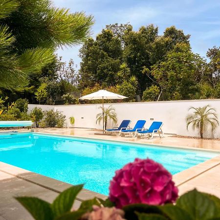 Edles Apartment In Architektenvilla Mit Grossem Pool, Sauna, Dachterrasse Und Malerischem Garten Pataias Dış mekan fotoğraf