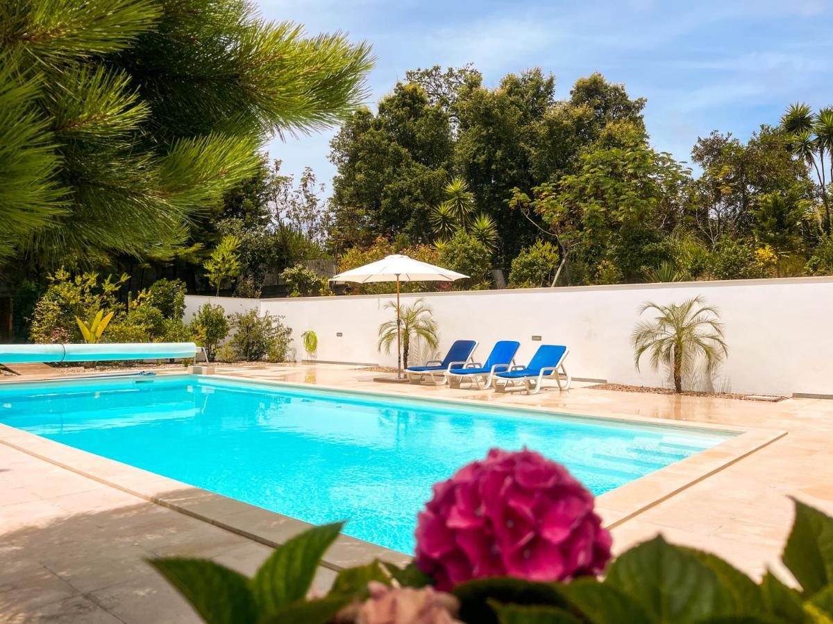 Edles Apartment In Architektenvilla Mit Grossem Pool, Sauna, Dachterrasse Und Malerischem Garten Pataias Dış mekan fotoğraf