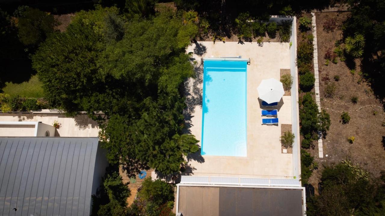 Edles Apartment In Architektenvilla Mit Grossem Pool, Sauna, Dachterrasse Und Malerischem Garten Pataias Dış mekan fotoğraf